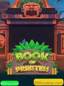 Descubra o Encantador Mundo do Jogo BookOfPriestess